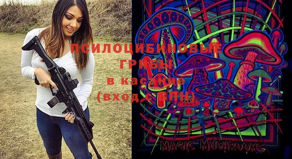 стафф Абаза