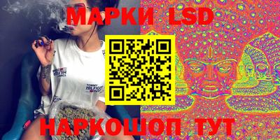 стафф Новодвинск