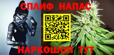 стафф Новодвинск