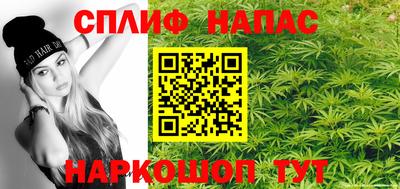 ECSTASY Новозыбков