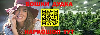 стафф Новодвинск