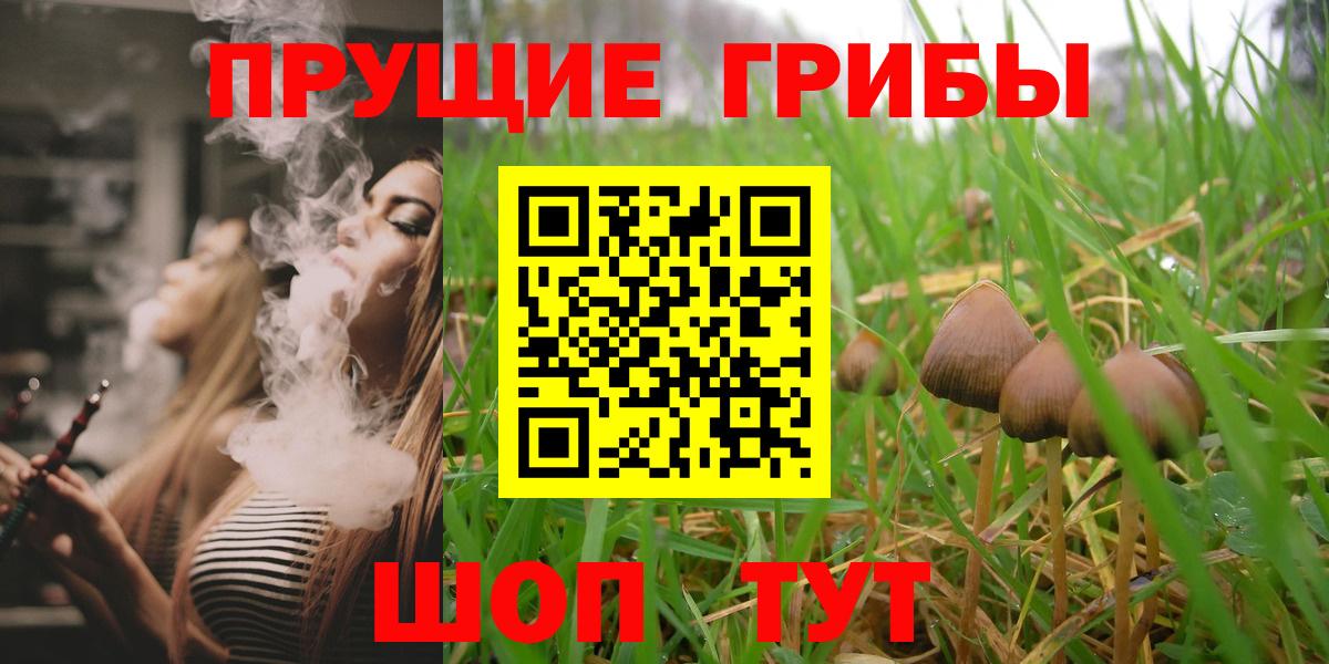 Галлюциногенные грибы мухоморы  Вход с VPN  что такое наркотик  Галлюциногенные грибы Psilocybine cubensis  Хасавюрт 