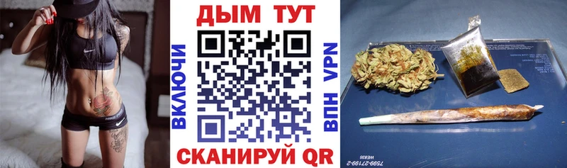Шишки марихуана конопля  Хасавюрт 